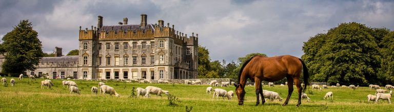 Wild West Tour of Ireland