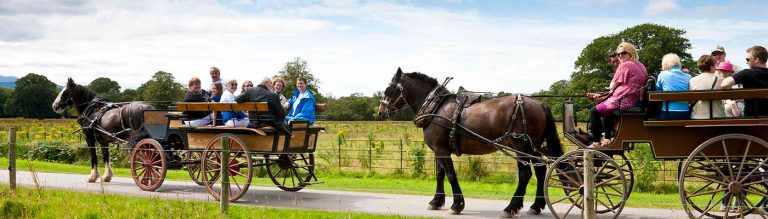 Hideaways and Backroads of Ireland