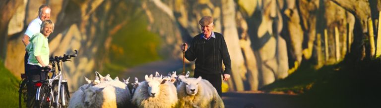 Read more about the article Classically Ireland: A Small Group Tour of Ireland