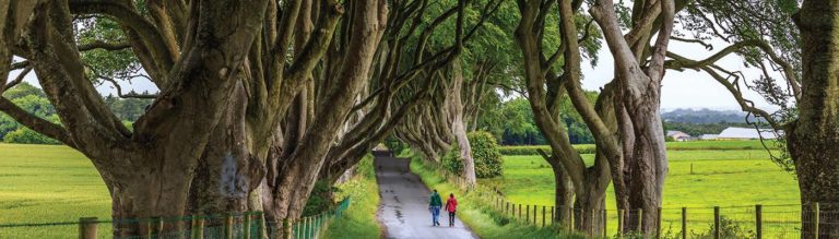 Read more about the article Game Of Thrones Tour Summer 2025