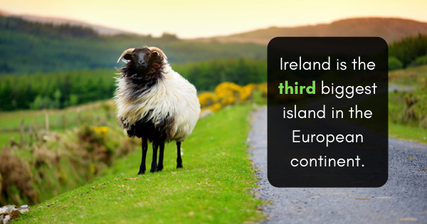Read more about the article Why You Should Travel Overseas After You Retire