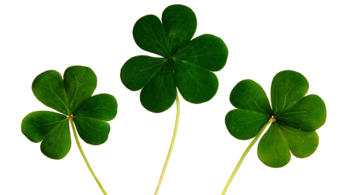 Read more about the article Include a Chauffeur Tour of Ireland In Your Holiday Plans