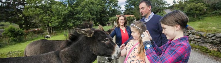 Read more about the article Ireland Family Classic Vacation